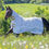 Thumbnail: 5’6 Shires dandelion fly rug