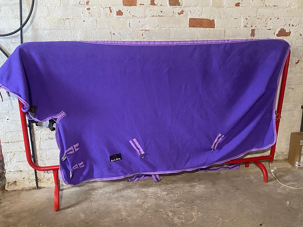 Home | Off The Rail Rugs