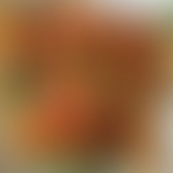 Spaghetti with Shrimp and Cherry Tomatoes