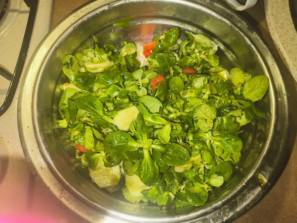 matavilz-salad-with-tomatoes