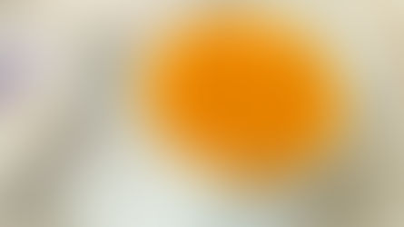 Panna-Cotta-with-Mango
