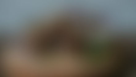 Lean-Chocolate-Coconut-balls 