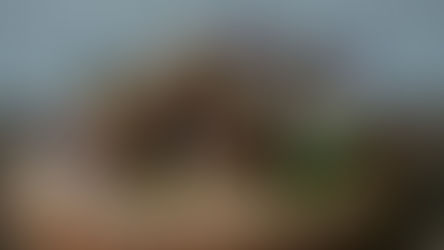 Lean-Chocolate-Coconut-balls