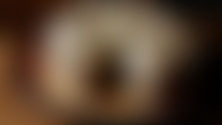 Walnut-Coffee-Sponge-Cake