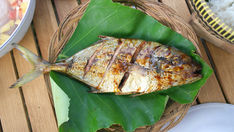 Grilled Sea Bream Lena