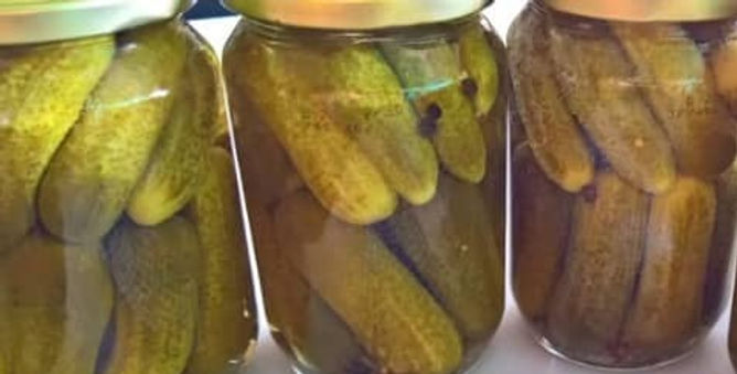 Gherkins-the Best Way to Prepare for Winter Lena