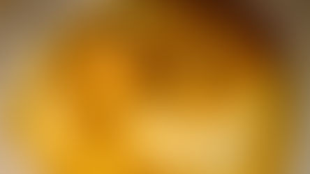 Soft-Chicken-steaks in-Sauce-of-curry-with-Pure