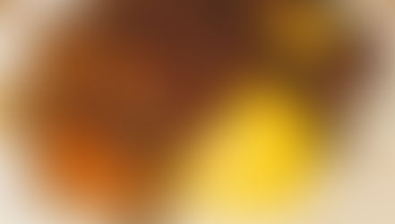 Beef-Bourguignon-stew