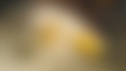 Simple-Banana-Tiramisu-dessert