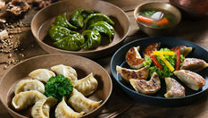 The Best Gyoza Dumplings