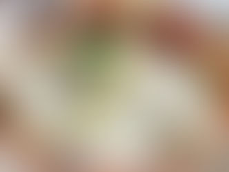 Chicken-Rolls-with-Parmesan-cream-and-Pasta