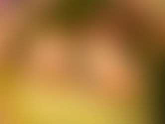 Stump-roll-simple-recipe