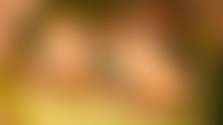 Stump-roll-simple-recipe