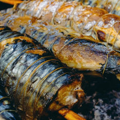 Grilled Eel