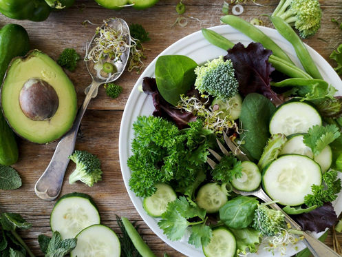 Paleo Diet