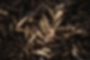 Black Cumin for Health