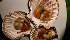 Scallops-simple-way-in a-pan 