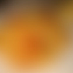 Creamy-Risotto-with-Shrimpsi-and-Zucchini 