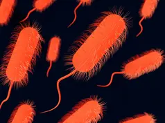 All-about-Helicobacter