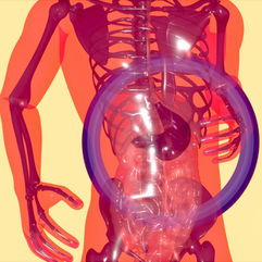 Liver – the Largest Filter and the Largest Gland in our Body