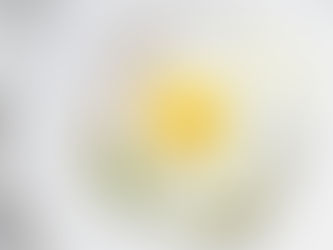 Avocado with Egg