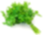 Parsley Sauce