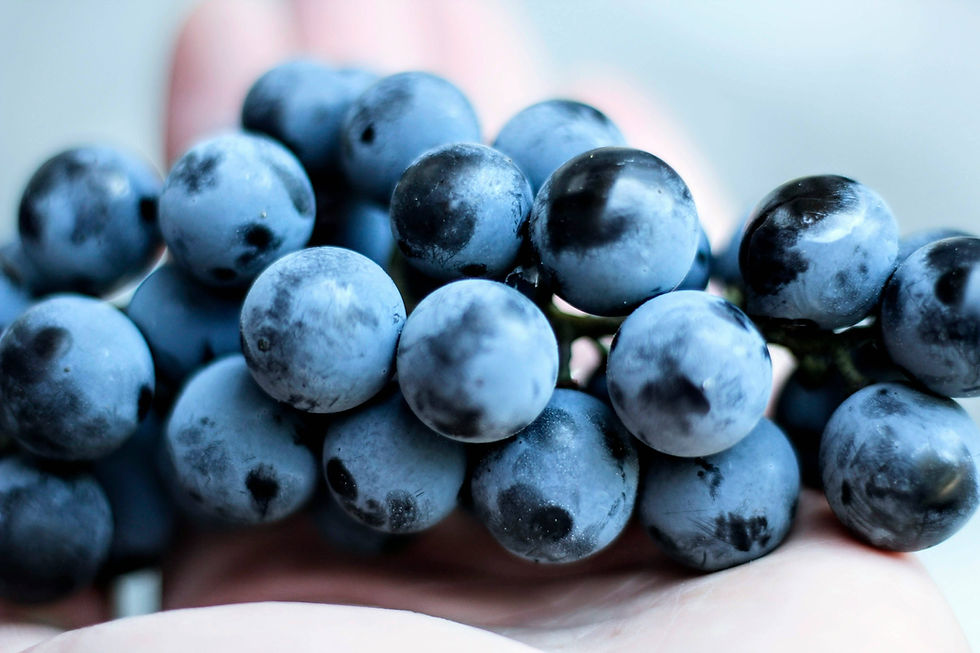 bluberries
