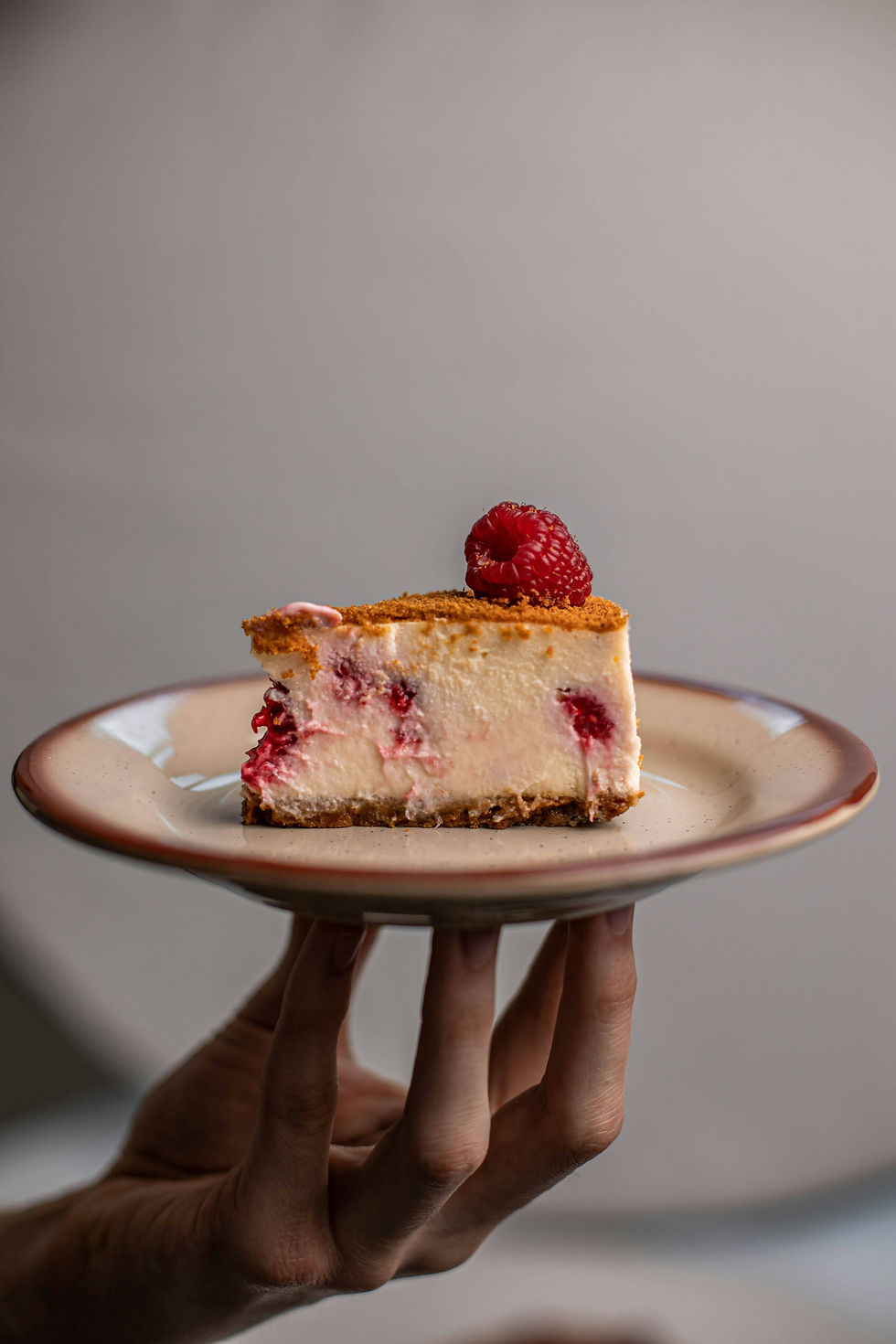 Raspberry-Truffle-Cheesecake-dessert-in plate