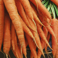 Carrot Spread