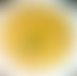 White Thick Chicken Soup