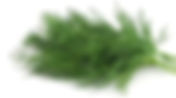 Weed dill Sauce