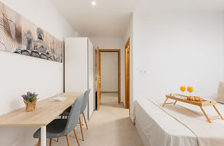 Viplama-habitacion-alquiler-Andreu-Alfaro_edited.jpg
