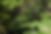 153988901_3823847117704150_593729401938601342_n.jpg