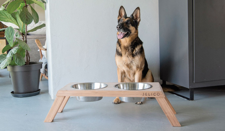 Bentley Pet Bowl Luxury Pet Bowl Feeder High-End Locally Made Bamboo Sustainable