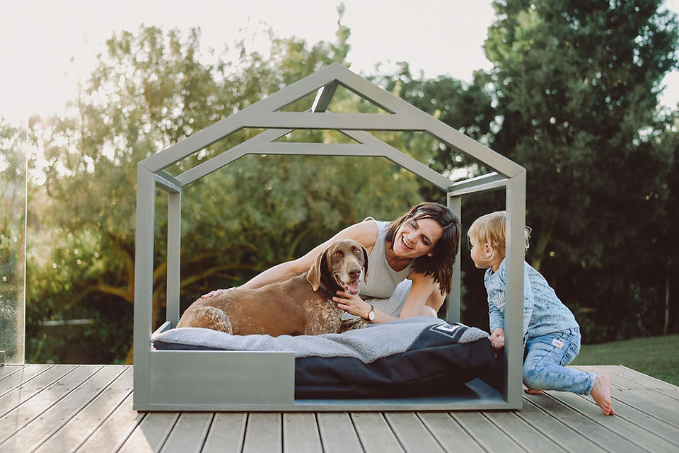 modern pet furniture dog house dog bed 