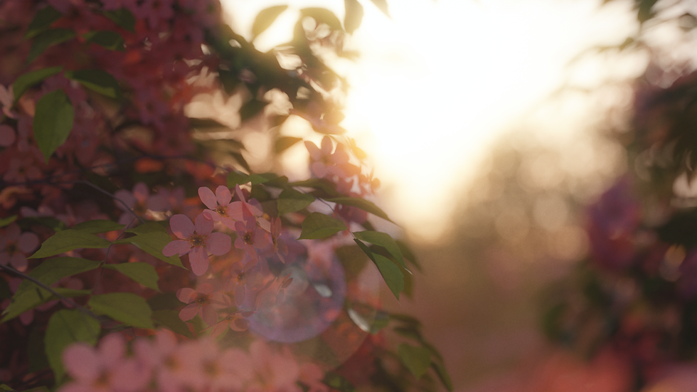 Florescence (0-00-00-15).png