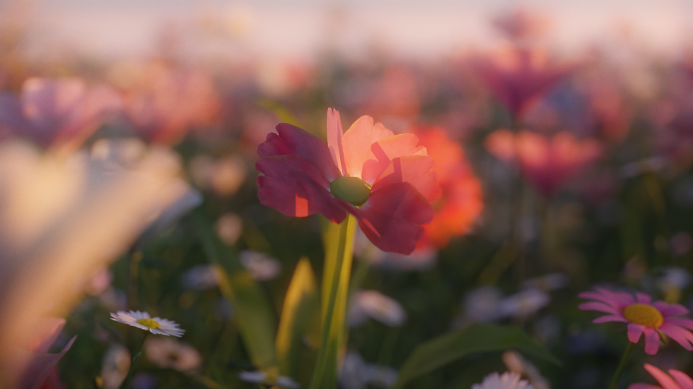 Florescence (0-00-00-23).png