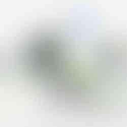 Design Presentation Template displayed on laptop, tablet, and flat page layouts to showcase its multi-device compatibility.