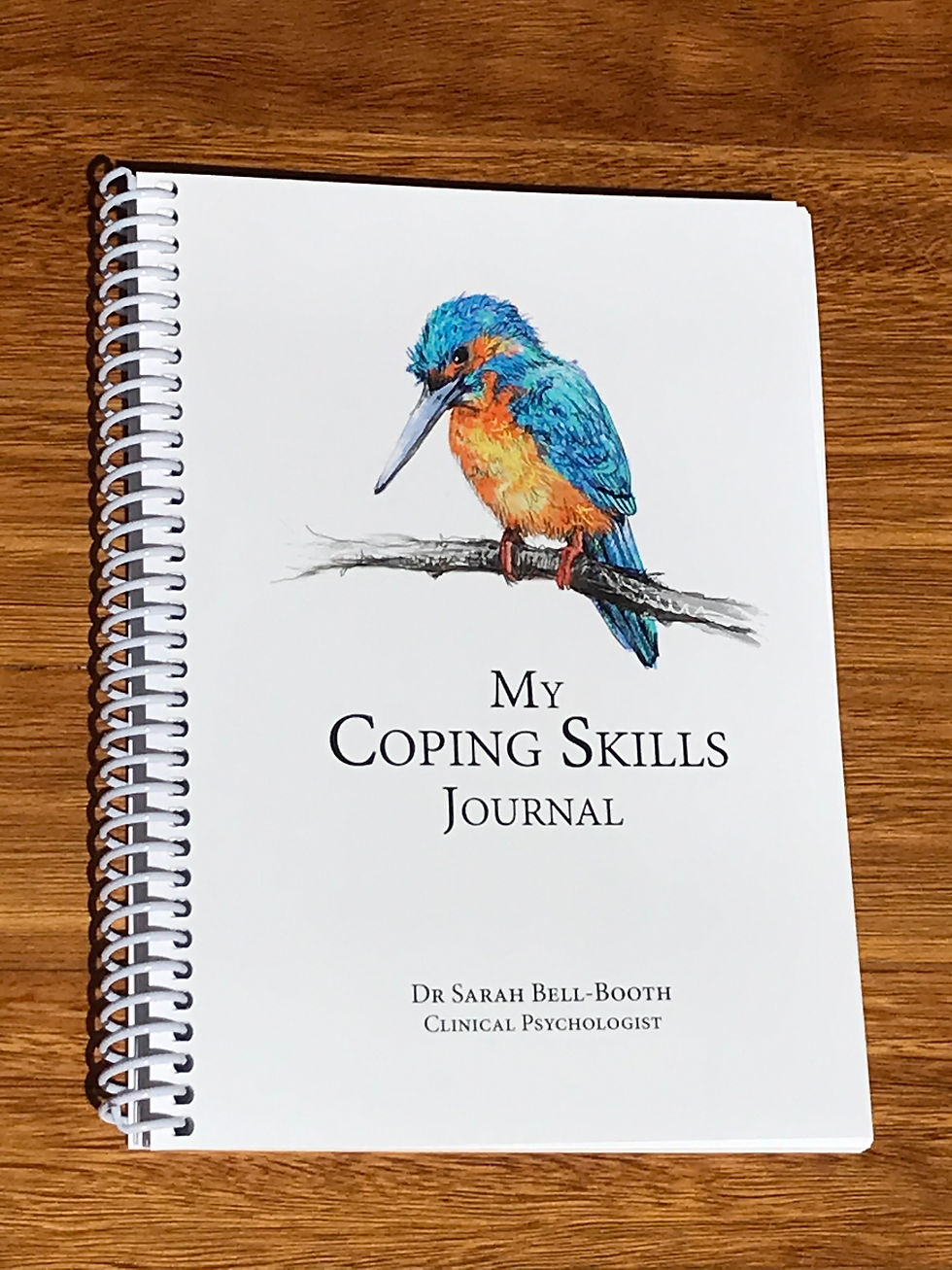 Thumbnail: My Coping Skills Journal