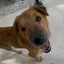 Max
