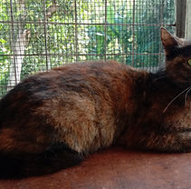 Carmen