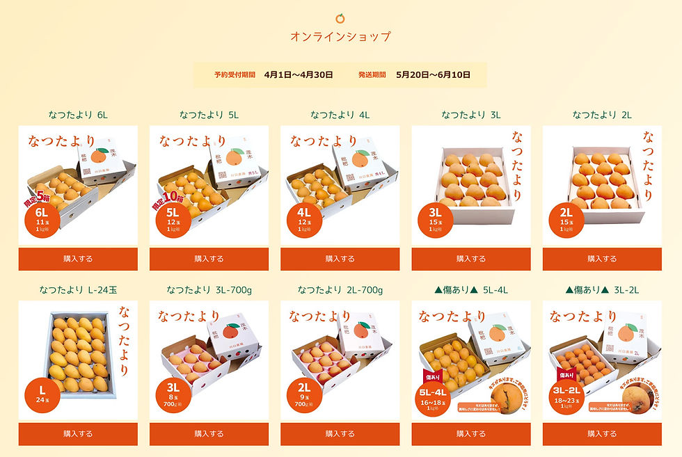 川口農園のびわ販売開始です!