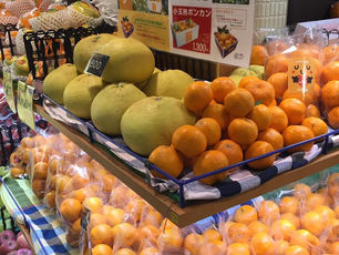 本日も、吉祥寺atreの大和田青果さんでの試食販売です。