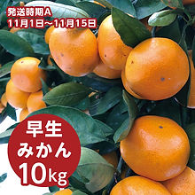 a_haraguchi_10.jpg