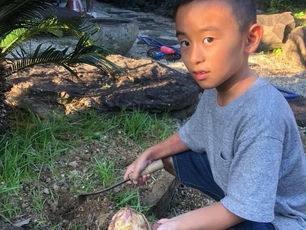 休日の夕方は、お庭のお手入れ！