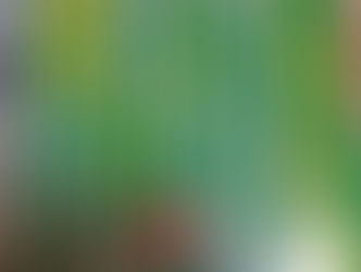 マキノ出版「安心」4月号に載りました