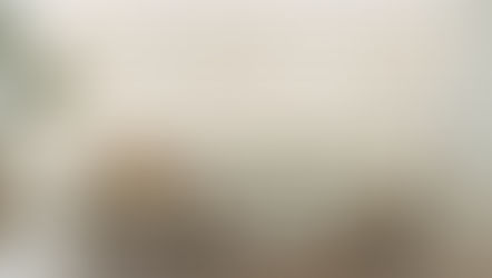 タチカワブラインド人気商品