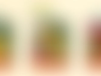 発送期間F 注文開始とイベント出店のご案内