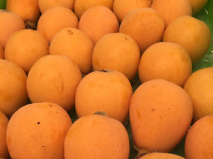 『なつたより』