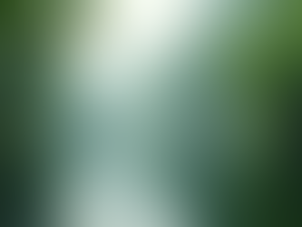 Improving Lake Health: Strategies for Better Water Quality